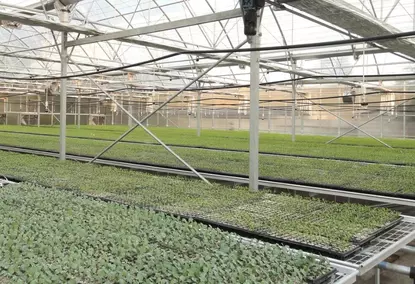 薄膜下工业用温室 薄膜下工业用温室