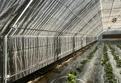 具有100％调光和自动照明控制系统的Polytunnel温室