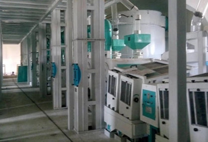 大米加工设备100TPD 大米加工设备100TPD