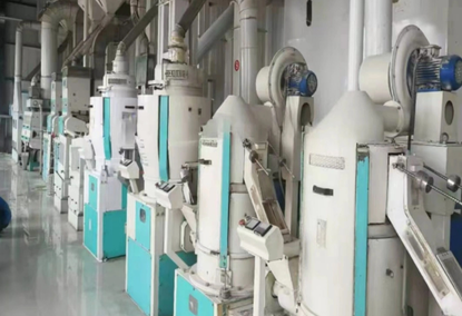 大米加工设备100TPD 大米加工设备100TPD